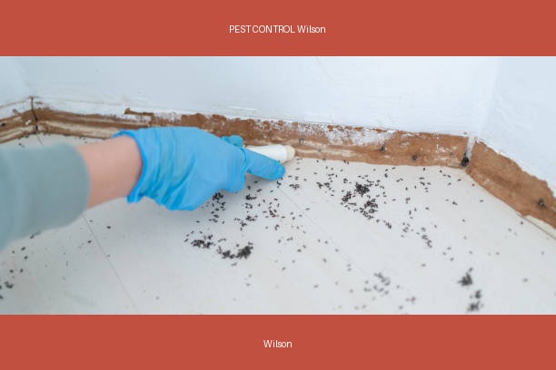 PEST CONTROL Wilson